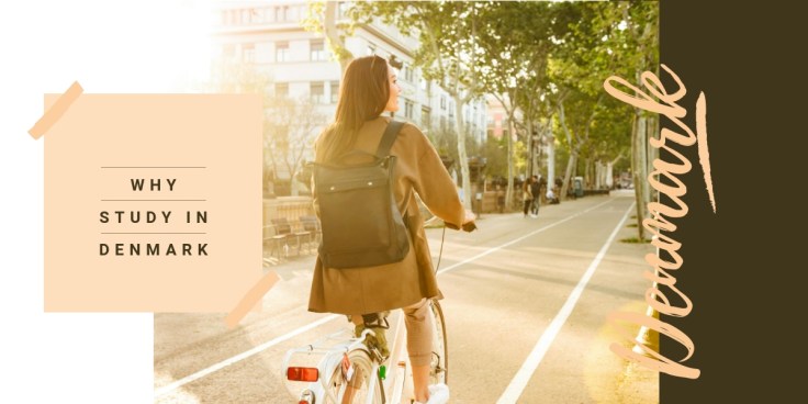 Why You Must Study In Denmark